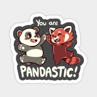 You are Pandastic Magnet