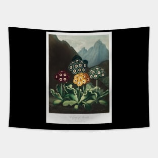 A group of Auriculas Tapestry