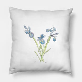 Blue Iris Flowers drawing Pillow