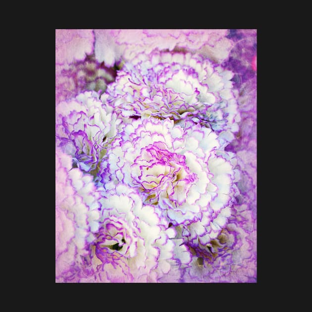 Frilly Carnations by AlexaZari