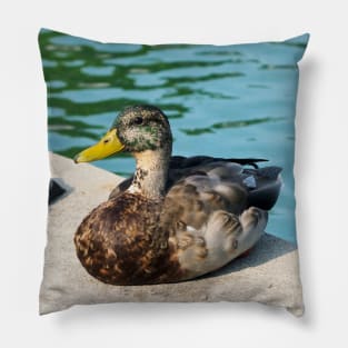 A Cute Duck Sitting Next To A Pond Pillow