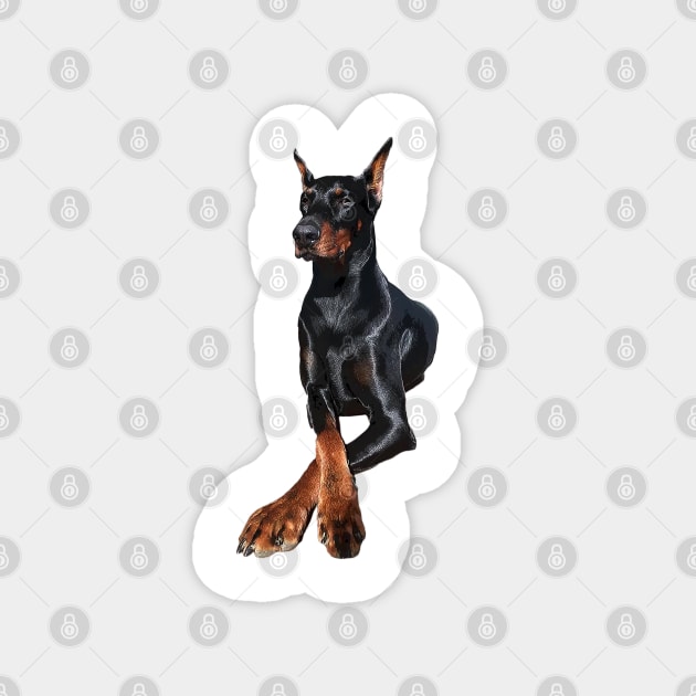 Doberman Dog Dobermann Pinscher Magnet by ElegantCat