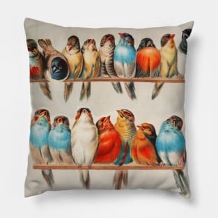 Bird clothesline Pillow