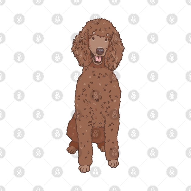 Chocolate Standard Poodle by Csieben