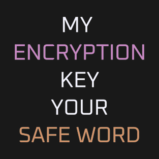 My encryption key your safe word T-Shirt