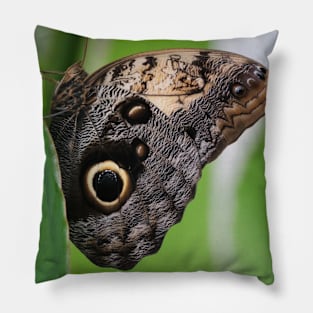 Schmetterling Pillow