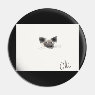 Ollie the cat. Pin