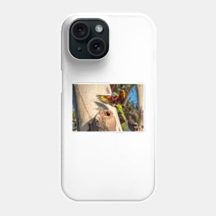 Happy Landings - Rainbow Lorikeet, Bribie Island Phone Case