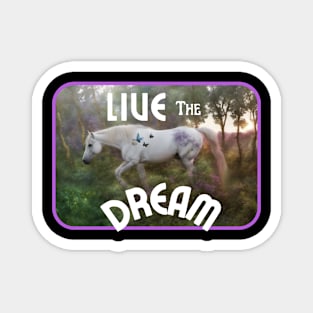 Live the Dream Magnet