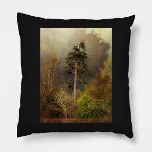 Dark, Stormy Autumn Day Pillow