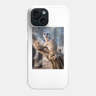 Meerkat - Lord of the Manor Phone Case