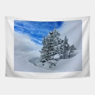 Snowy Tree Tapestry