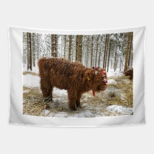 Scottish Highland Cattle Calf 1630 Tapestry