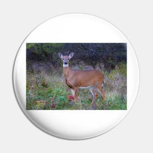 Doe Queen - White-tailed deer Pin