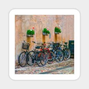 Bicycles Neatly Parked, Copenhagen Magnet