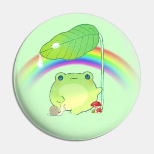 Cottagecore Rainbow Frog Pin