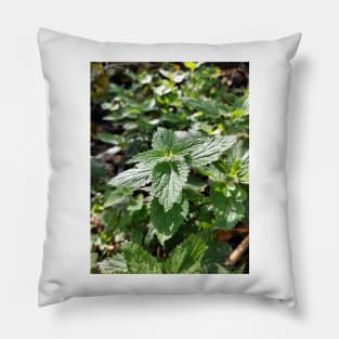 Nettle Pillow