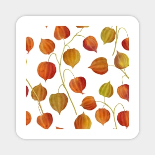 Physalis flowers watercolor seamless pattern. Golden berry plants. Cape gooseberry buds. Colorful autumn leaves structure Magnet