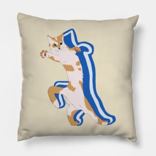 Aegean Cat Greece Flag Colors Pillow