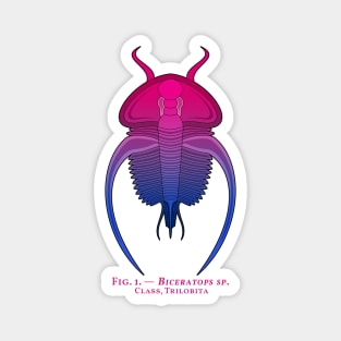 Biceratops | LGBT+ | real trilobite genus | Bi flag Magnet