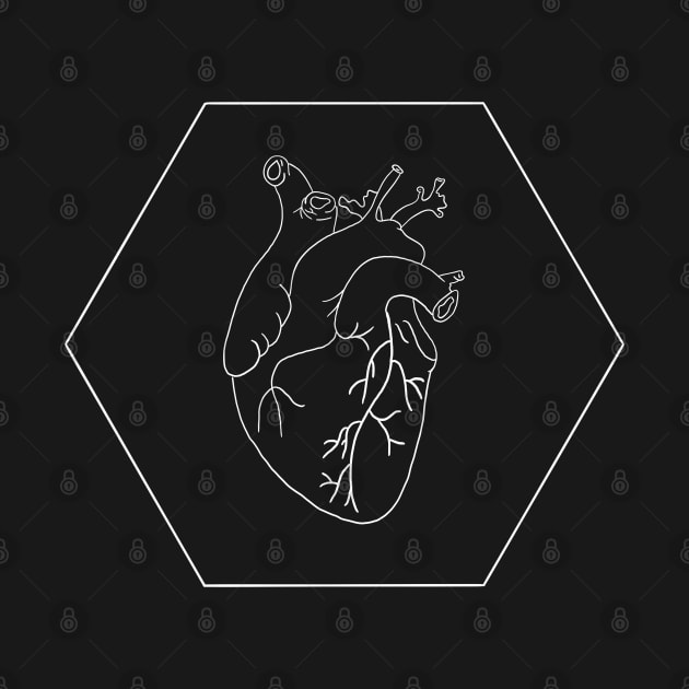 Anatomy Heart by Carries Design 