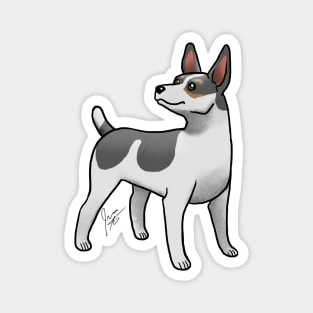 Dog - Rat Terrier - Black Tri-Color Magnet