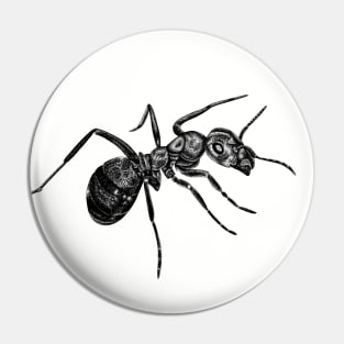 Ant Pin