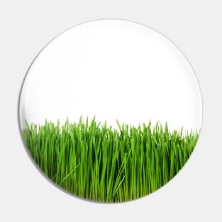 Fresh green grass Pin