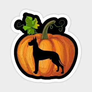 Great dane in pumpkin Magnet