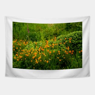 fli poppy field Tapestry