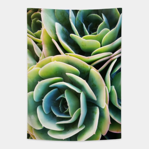 Succulent Rose Tapestry by LittleBean