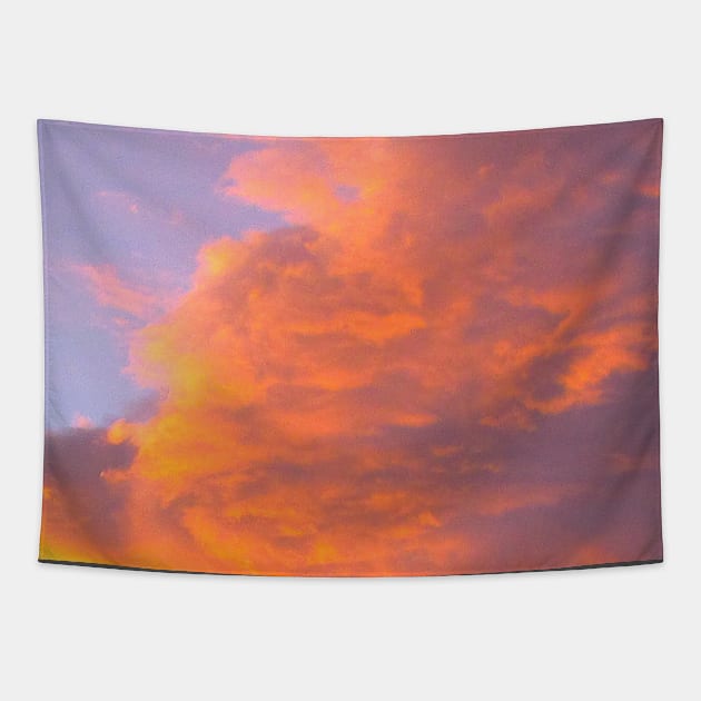 beautiful vibrant sky - sunset & clouds Tapestry by beesting