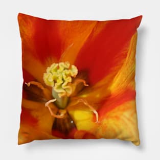 Fire Petal Pillow