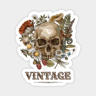 Vintage skull Magnet