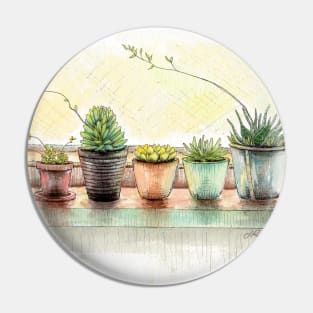 Succulents on a Window Sill Pin