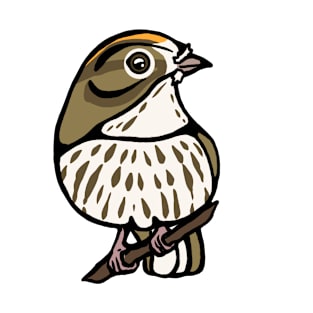 Ovenbird Graphic T-Shirt