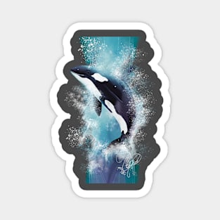 Orca Magnet