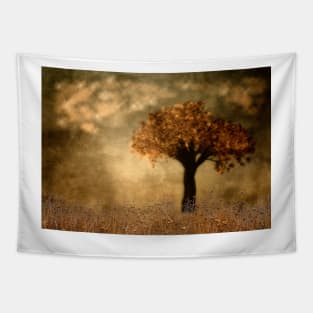 Lone Tree In Autumn Tapestry