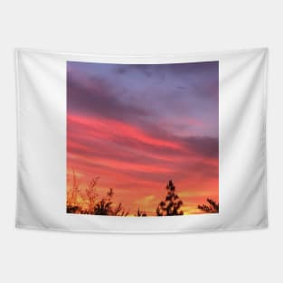 Prism Violet, Royal Blue, Deep Sea Coral Pink And Gold Clouds In The Sunset Sky Tapestry