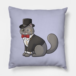 Cat In A Hat Pillow