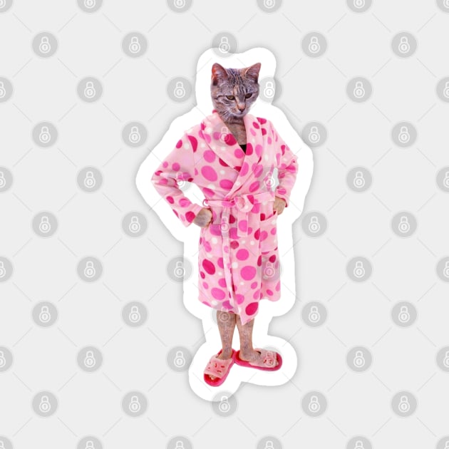 Crazy cat lady pjs hot sale