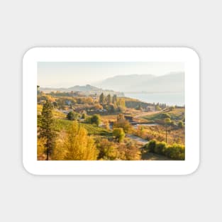 October Landscape Okanagan Valley Vineyards Magnet