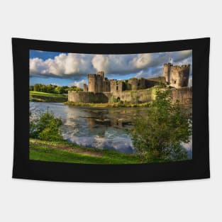 Caerphilly Castle Moat Tapestry