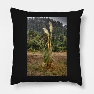 lli foxtail Pillow