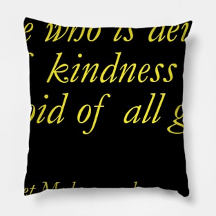 Kindness Pillow