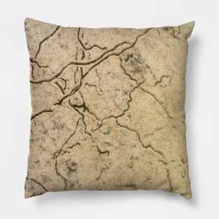 Sand Texture from snails Pillow