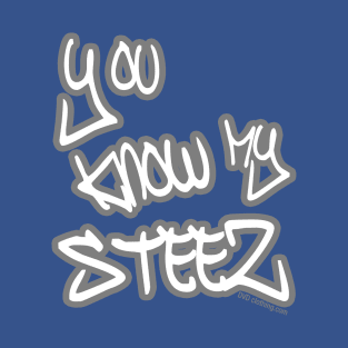 Know My Steez Hip Hop Style Drip Fire Swagg Fresh Graffiti Letter Vibe T-Shirt