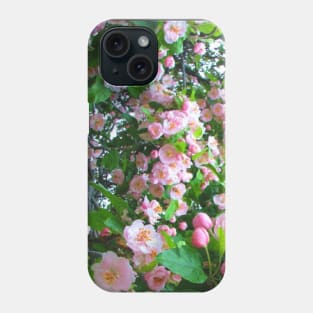 Spring Blossoms-Art Prints-Mugs,Cases,Duvets,T Shirts,Stickers,etc Phone Case