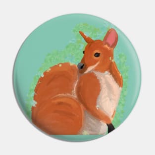 Red necked wallaby, drawing Pin