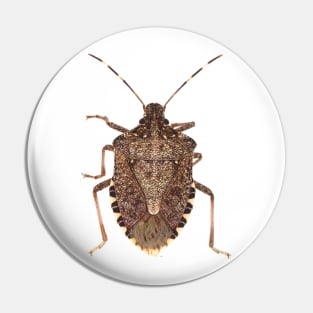 Brown marmorated stink bug Pin